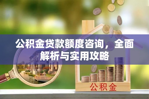 道孚公积金贷款额度咨询，全面解析与实用攻略